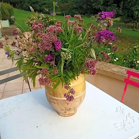 Bed & Breakfast D'hotes Les Bruyeres