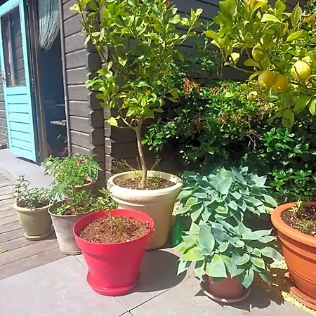 Bed & Breakfast D'hotes Les Bruyeres
